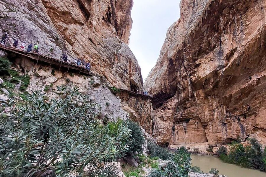 From Málaga: Caminito del Rey Guided Day Trip - The Málaga pickup and the 80-minute bus ride