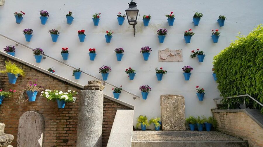 From Malaga: Cordoba Day Trip and Mosque-Cathedral - A comfortable coach ride into Andalusia