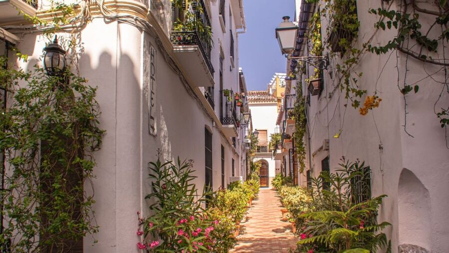 From Malaga or Costa del Sol: Mijas, Marbella & Puerto Banus - Key points to know before booking