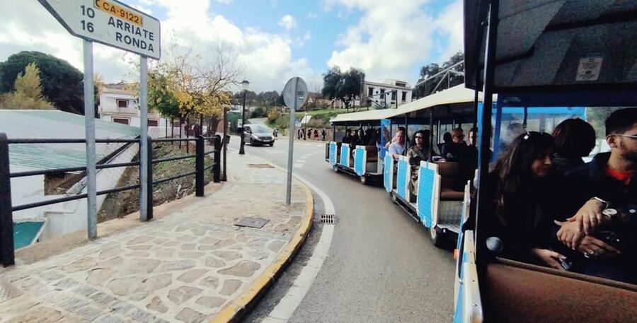 From Malaga: Ronda and Setenil Tour with Scenic Train - Key points to know before booking