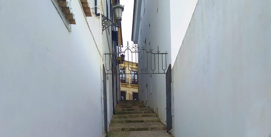From Malaga: Ronda and Setenil Tour with Scenic Train - Free time for lunch and your own Ronda priorities