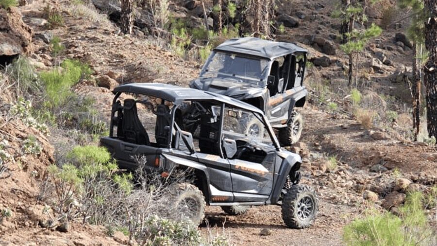 From Maspalomas: Volcanic Landscapes 4-Seater Buggy Tour - Volcanic views, tropical scenery, and photo stops