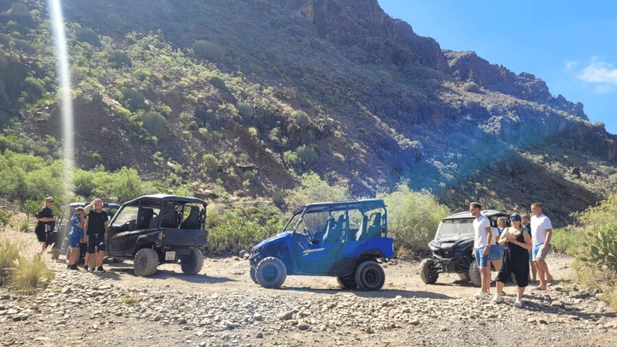 From Maspalomas: Volcanic Landscapes 4-Seater Buggy Tour - Is $177 good value for a group of two?