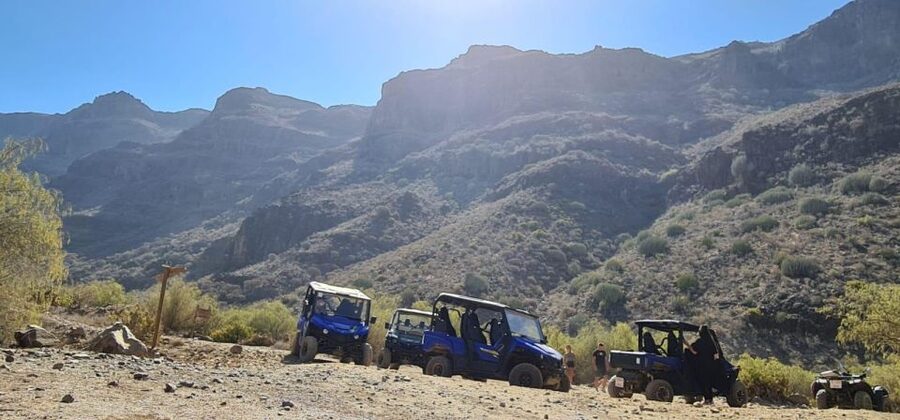 From Maspalomas: Volcanic Landscapes 4-Seater Buggy Tour - Who should book this activity?