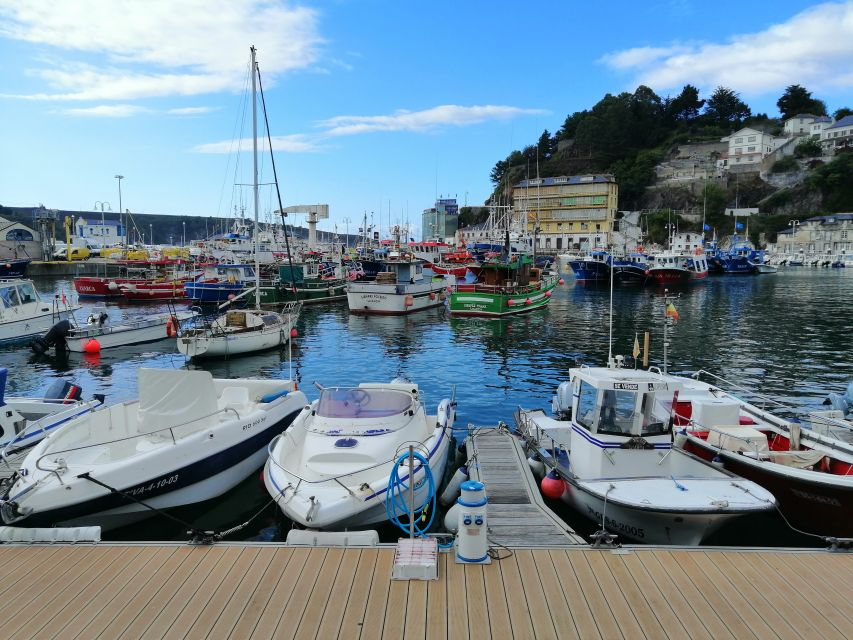From Oviedo: Luarca, Cudillero and Avilés Day Trip - Walking, Weather, and What to Bring