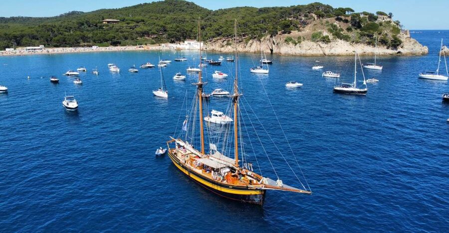 From Palamos: Scenic Boat Trip to Calella de Palafrugell - Key points to know before booking