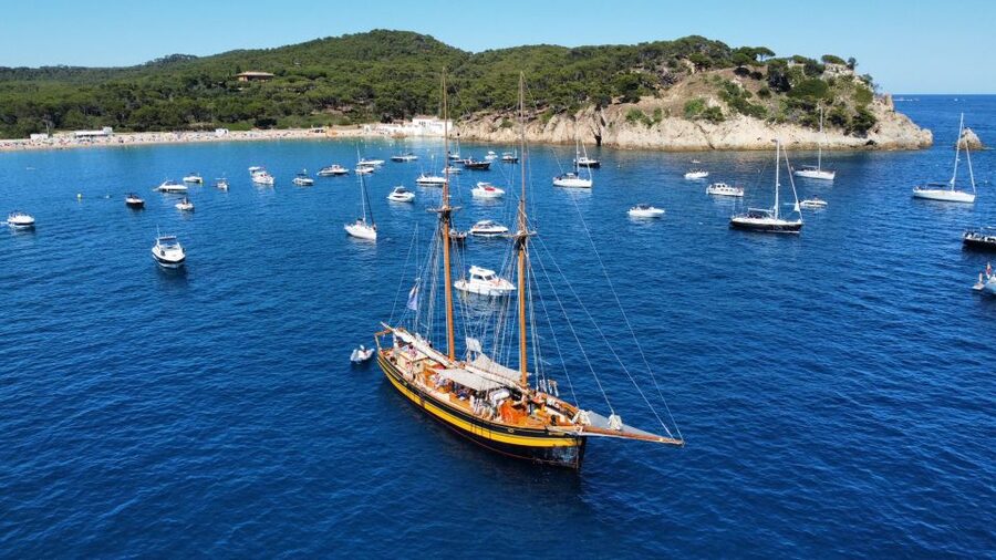From Palamos: Scenic Boat Trip to Calella de Palafrugell - The Islas Hormigas and Cap Roig