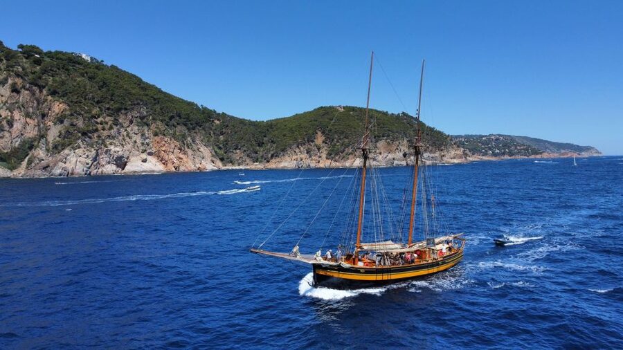 From Palamos: Scenic Boat Trip to Calella de Palafrugell - Is $47 a Fair Price?