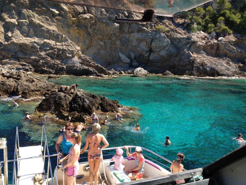 From Palma: 3-Hour Morning Dolphin Watching Boat Tour - The run along Mallorca’s southwest coast