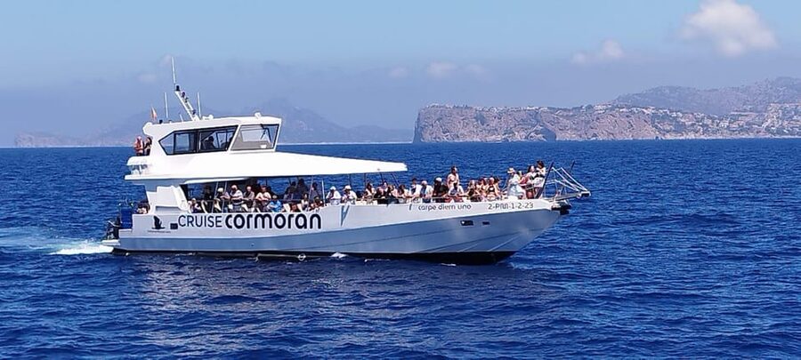 From Palma: 3-Hour Morning Dolphin Watching Boat Tour - What the $63 price buys you
