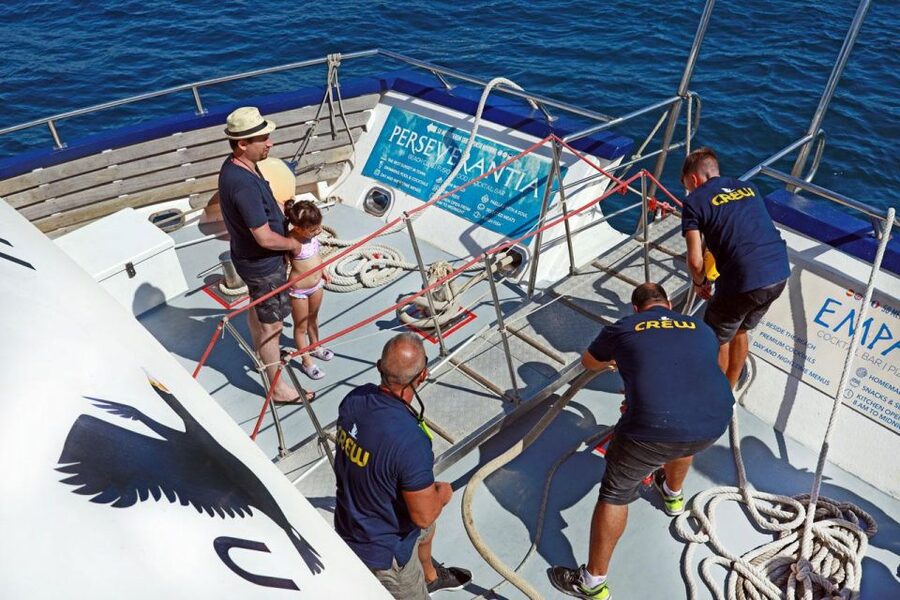 From Palma: 3-Hour Morning Dolphin Watching Boat Tour - Practical tips for a smoother morning