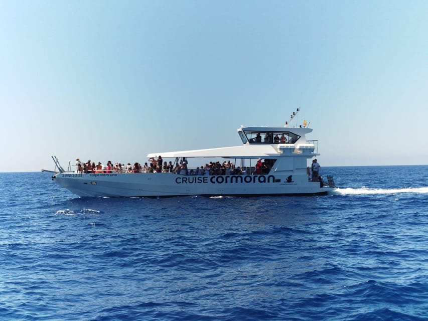 From Palma: 3-Hour Morning Dolphin Watching Boat Tour - Boarding the Carpe Diem in Palma