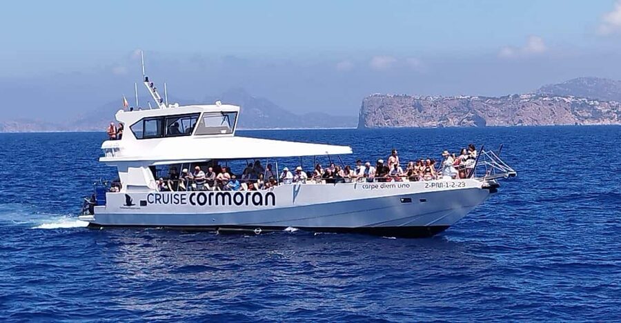From Palma: Afternoon Dolphin-Watching Boat Tour - Key points before you book