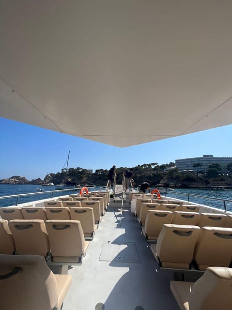 From Palma: Afternoon Dolphin-Watching Boat Tour - Smart preparation for a smoother afternoon
