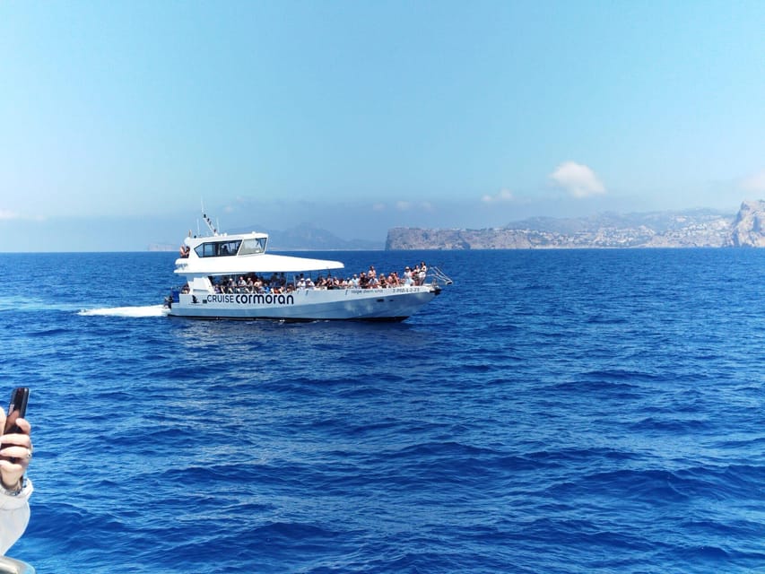 From Palma: Afternoon Dolphin-Watching Boat Tour - The dolphin sighting: wonderful, but never certain