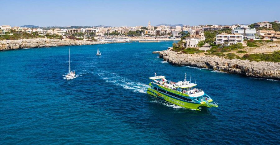 From Porto Cristo: East Coast Glass-Bottom Boat Trip - What the glass bottom really adds