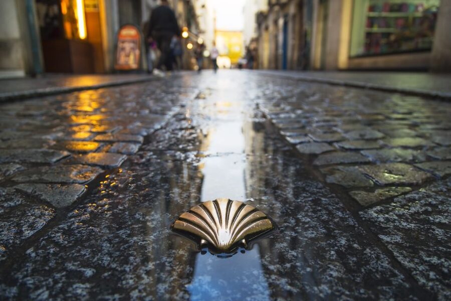From Porto: Santiago de Compostela Full Day Tour - Santiago Cathedral and the Pilgrim Mass