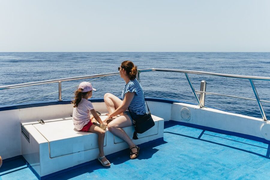From Puerto Rico de Gran Canaria: Dolphin Watching Cruise - Who should book this cruise?