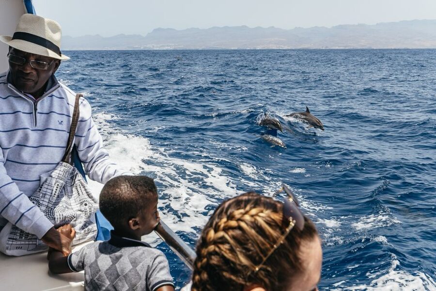 From Puerto Rico de Gran Canaria: Dolphin Watching Cruise - Meeting the multilingual crew