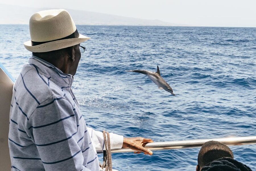 From Puerto Rico de Gran Canaria: Dolphin Watching Cruise - The wildlife encounter itself