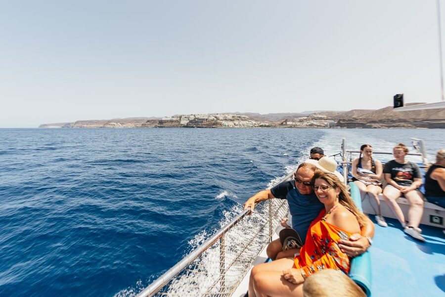 From Puerto Rico de Gran Canaria: Dolphin Watching Cruise - Is $47 a good value?