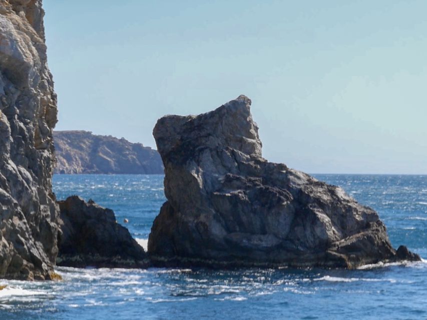 From Roses: Cap Norfeu Boat Cruise & Swimming - Why the Aquarium II cruise is worth your time