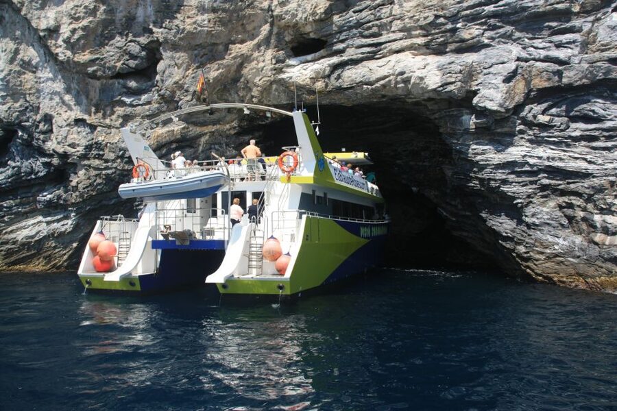 From Roses: Cap Norfeu Boat Cruise & Swimming - What the underwater viewing rooms add
