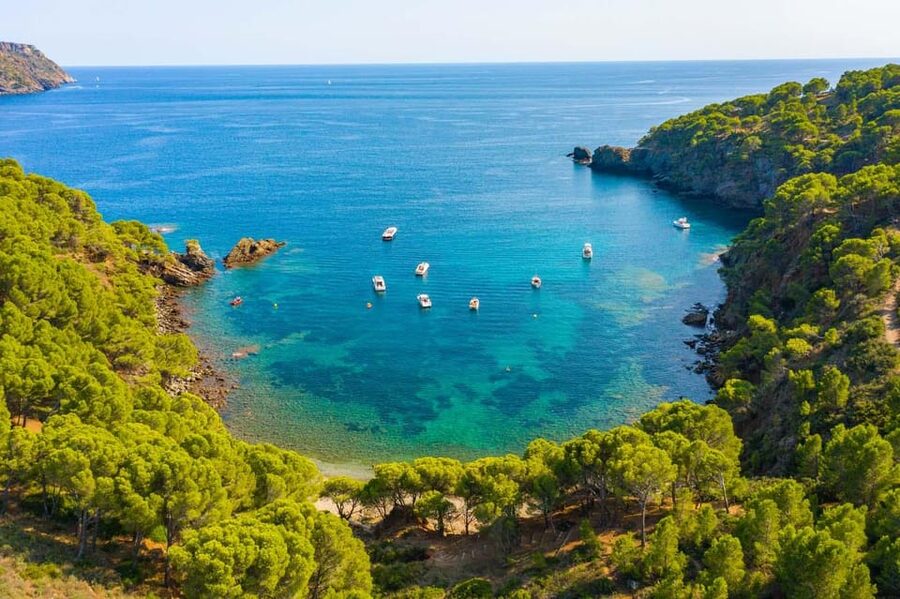 From Roses: Cap Norfeu Boat Cruise & Swimming - Forty minutes at Platja de l’Almadrava