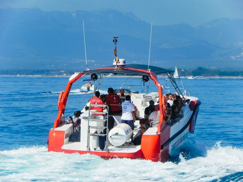 From Salou/Cambrils: Speedboat Tour - The Mediterranean stop near Cap Salou