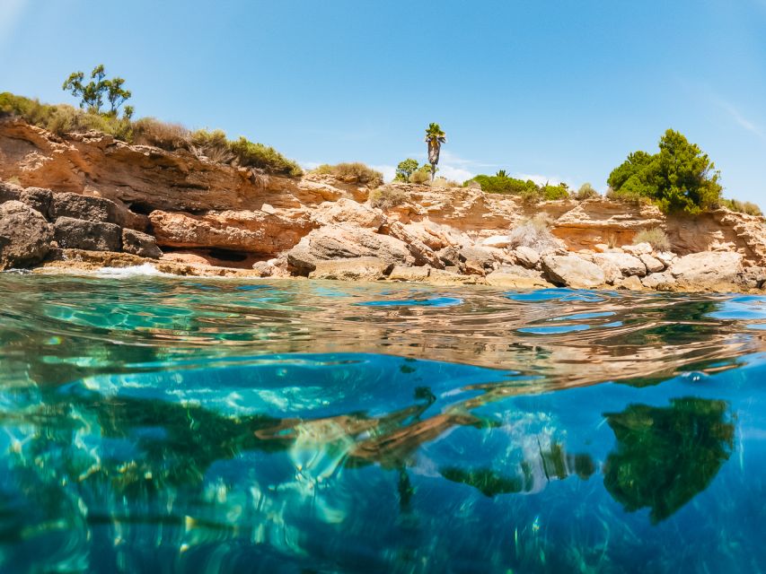 From Salou/Cambrils: Speedboat Tour - Who will enjoy this boat trip most?