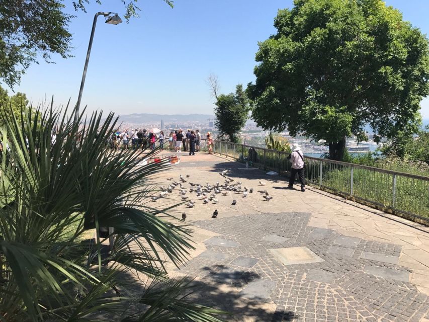 From Salou: Full Day Barcelona Panoramic Tour with Free Time - Key points at a glance