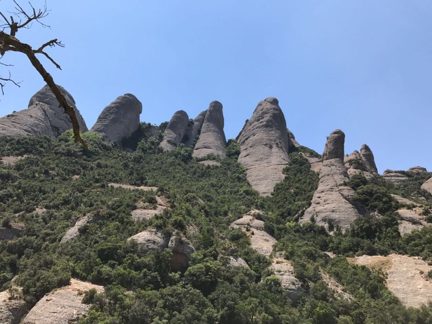 From Salou: Montserrat Monastery and Colonia Güell - The climb to Montserrat is part of the show