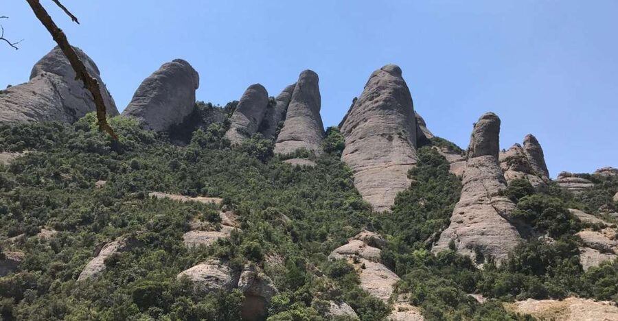 From Salou: Montserrat Monastery and Colonia Güell - Transport and pickup details matter