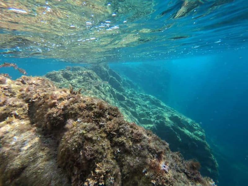 From Sant Feliu de Guíxols: Kayak and Snorkel in Costa Brava - Should you book it?