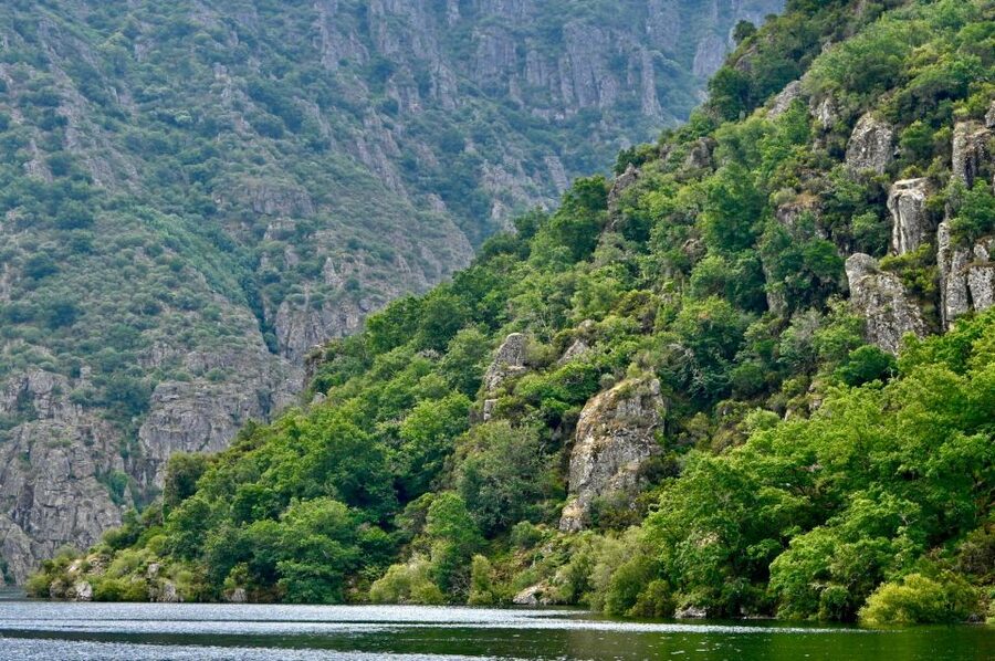 From Santiago: Excursion to Ribeira Sacra and Ourense - The morning departure from Santiago