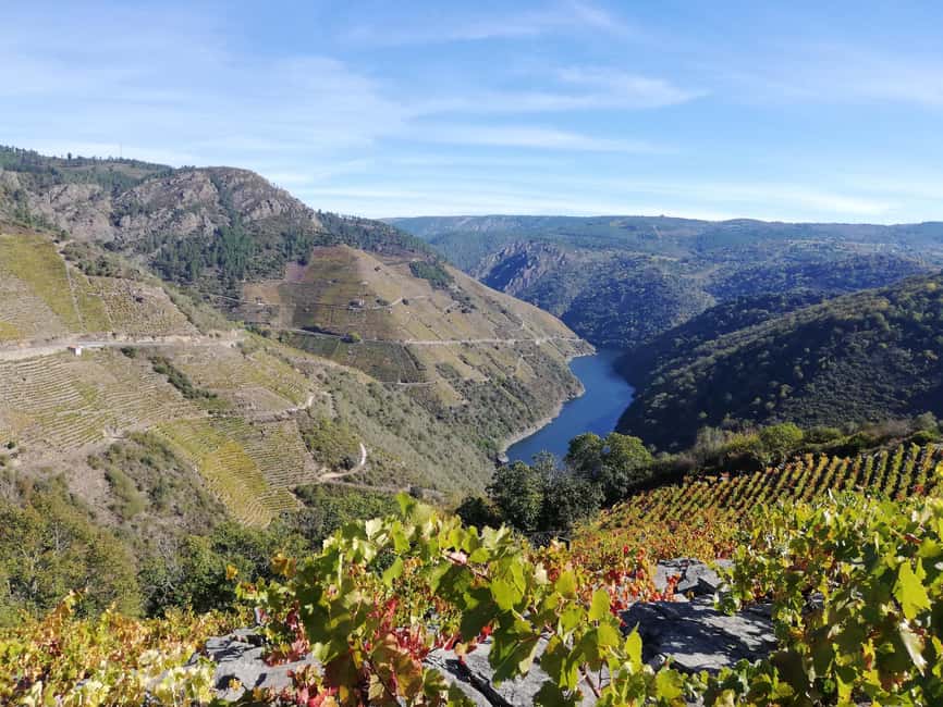 From Santiago: Excursion to Ribeira Sacra and Ourense - What the guide adds to the day