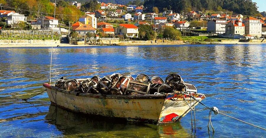 From Santiago: Rías Baixas Galicia Seafood & Wine Day Tour - O Grove, Galicia’s seafood town