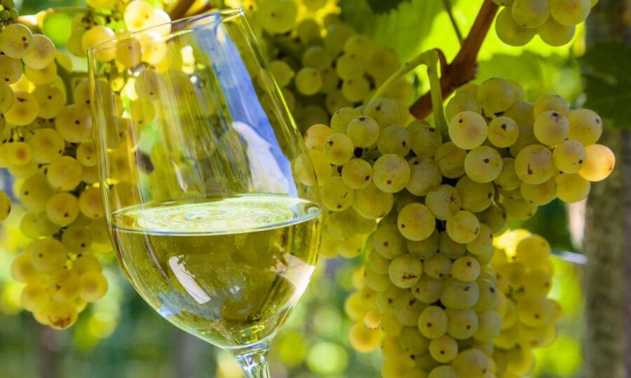 From Santiago: Tour to Rias Baixas with Boat Trip and Winery - Who will enjoy this Galicia day trip most?
