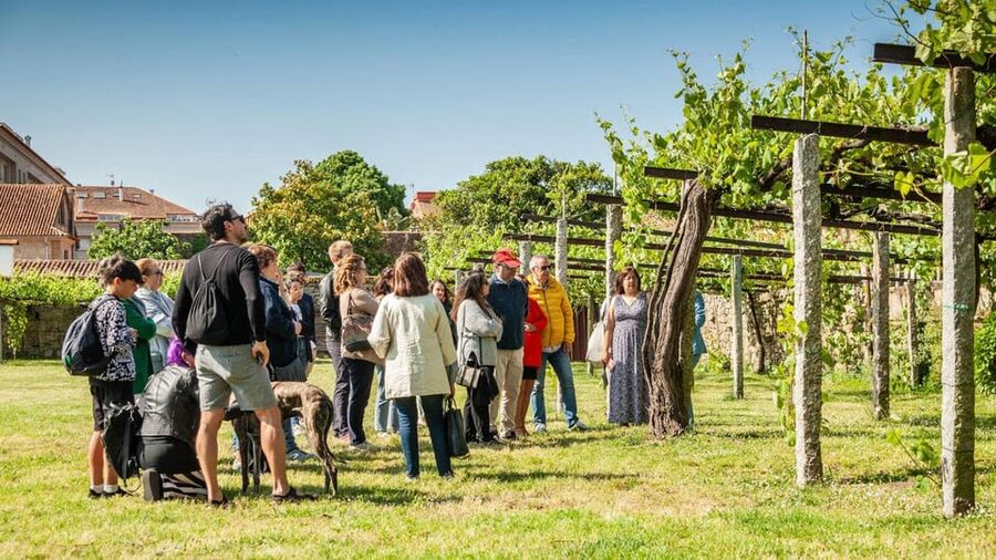From Santiago: Tour to Rias Baixas with Boat Trip and Winery - O Grove gives you time for lunch and local life