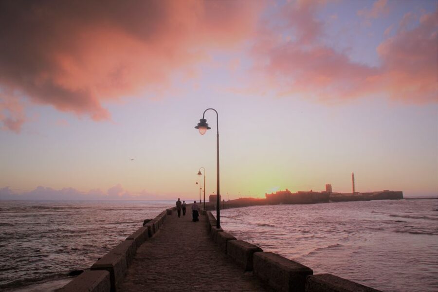 From Seville: Cadiz and Jerez de la Frontera Day Trip - The guide can make or break the day