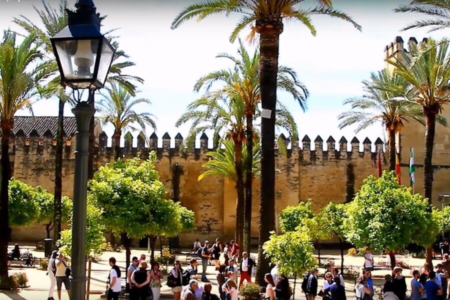 From Seville: Córdoba and Mosque Cathedral Full-Day Tour - Price, pace, and who gets the best value