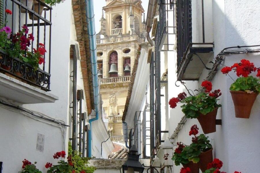 From Seville: Córdoba and Mosque Cathedral Full-Day Tour - Small practical details that make a difference