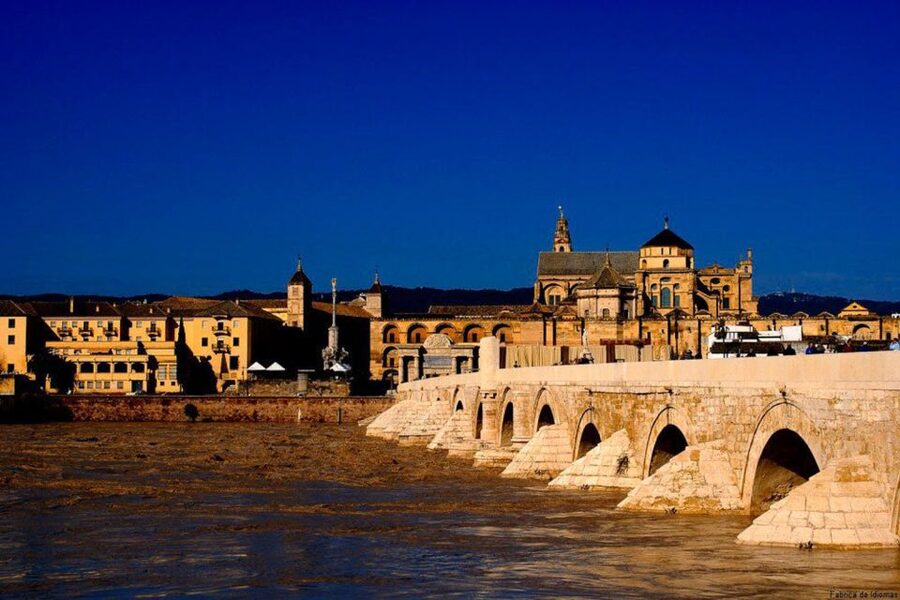 From Seville: Cordoba Full-Day Tour with Tickets Included - Guides and the quality of the explanation