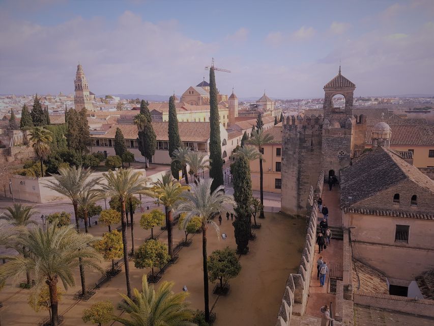 From Seville: Cordoba, the Mosque and Carmona Day Trip - Guide quality is central to the experience