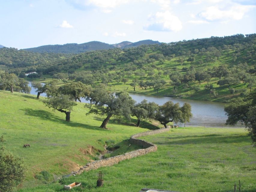 From Seville: Full-Day Aracena & Rio Tinto Mines Tour - Key points to know before booking