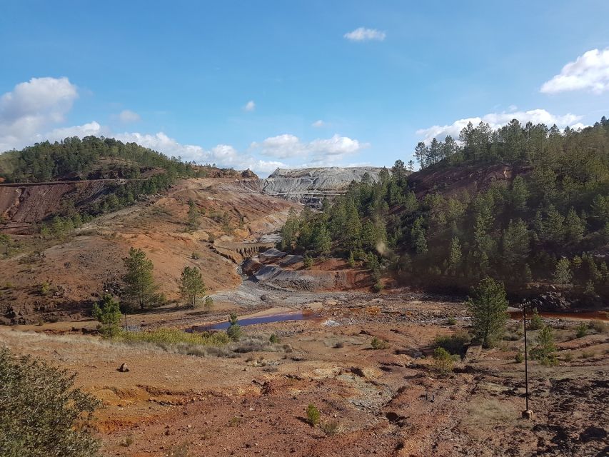 From Seville: Full-Day Aracena & Rio Tinto Mines Tour - Transport, timing, and group size