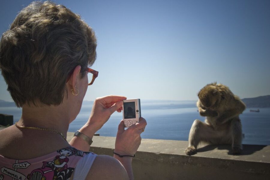 From Seville: Gibraltar Sightseeing Tour - Meeting Gibraltar’s famous monkeys