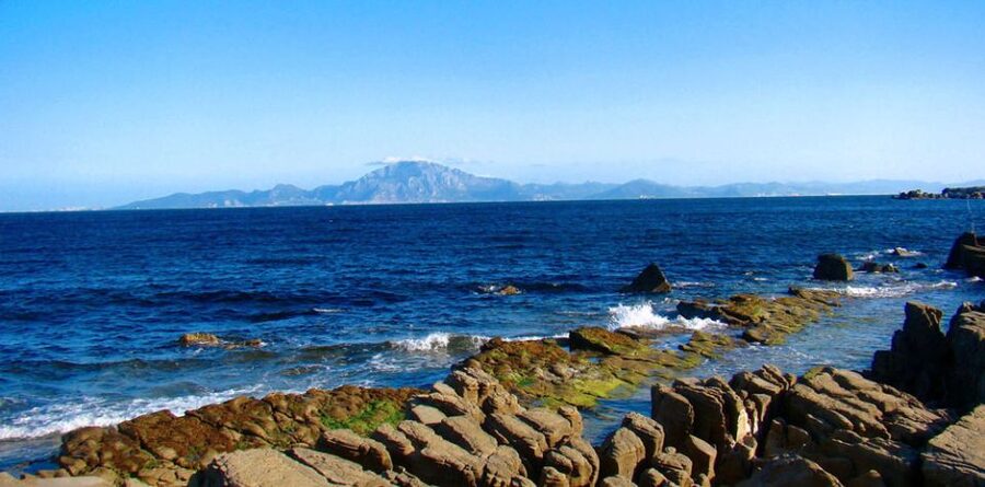 From Seville: Gibraltar Sightseeing Tour - Free time for lunch, shops, and town streets
