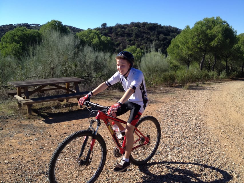 From Seville: Half-Day Guided Bike Trip to Italica - Should you book the Itálica bike tour?