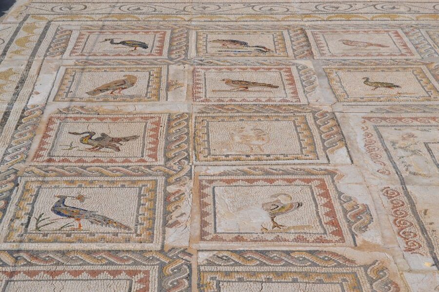 From Seville: Italica Roman City Tour - The amphitheater and its underground passages